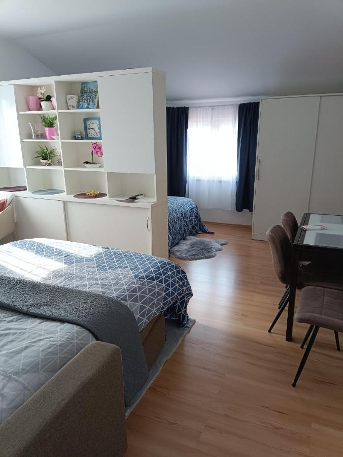 Studio Apartment Dorina Buje Exterior foto