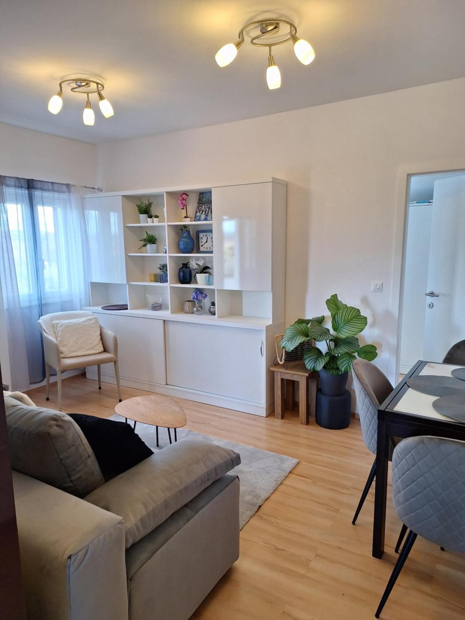 Studio Apartment Dorina Buje Exterior foto