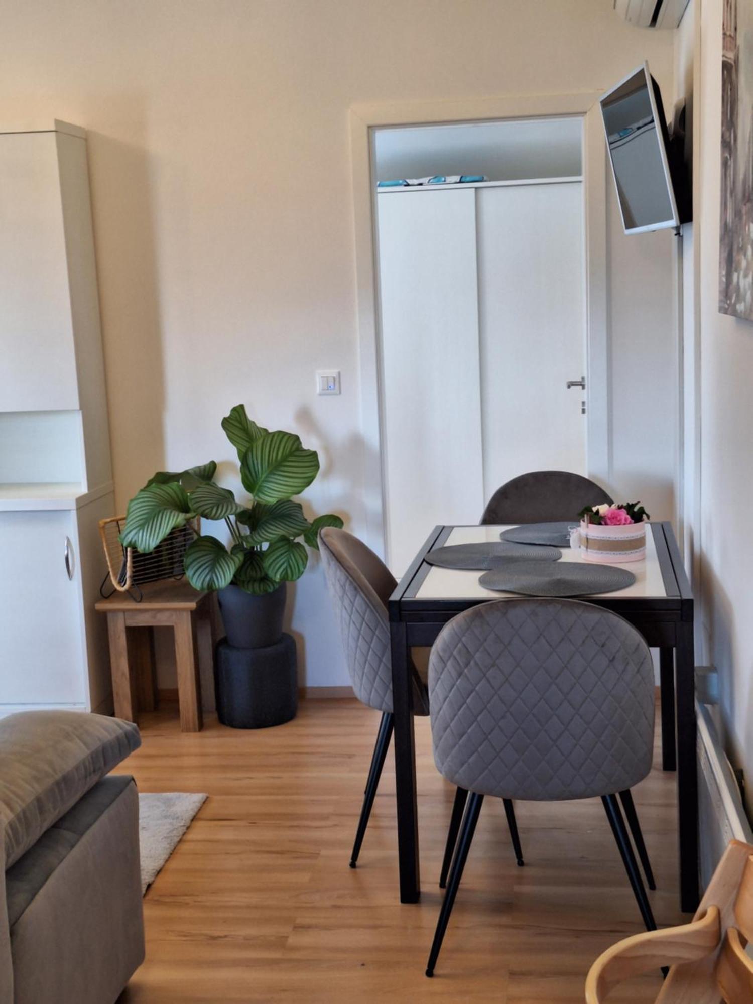 Studio Apartment Dorina Buje Exterior foto