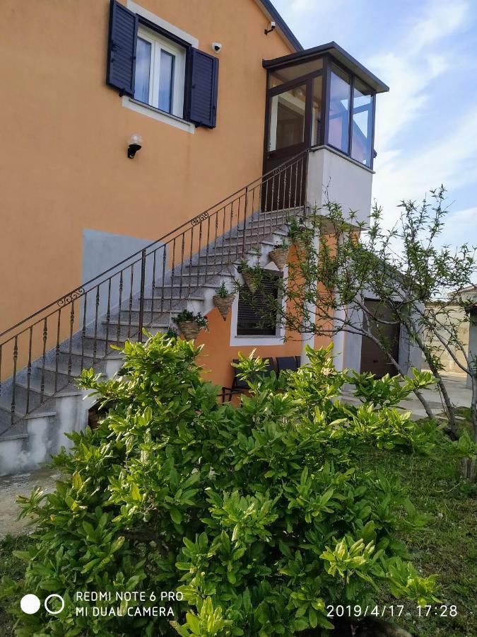 Studio Apartment Dorina Buje Exterior foto
