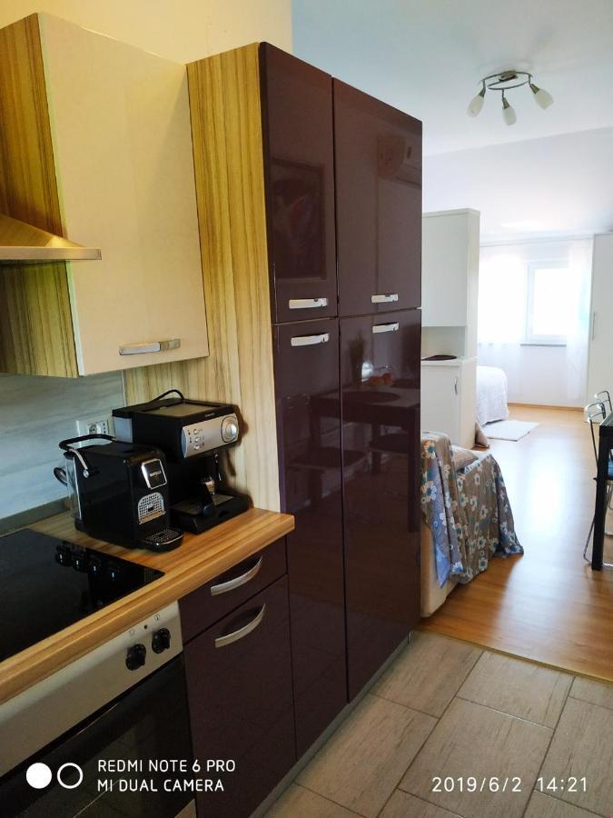 Studio Apartment Dorina Buje Exterior foto
